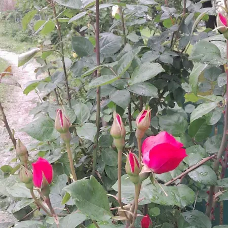 Διαμέρισμα New Town *