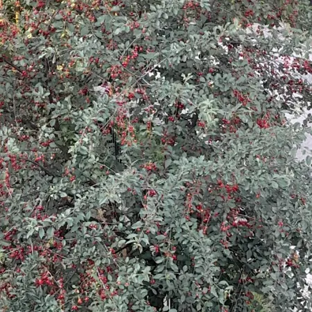 Apartamento New Town